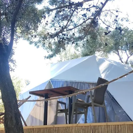 Dome Glamping Suits Lodge