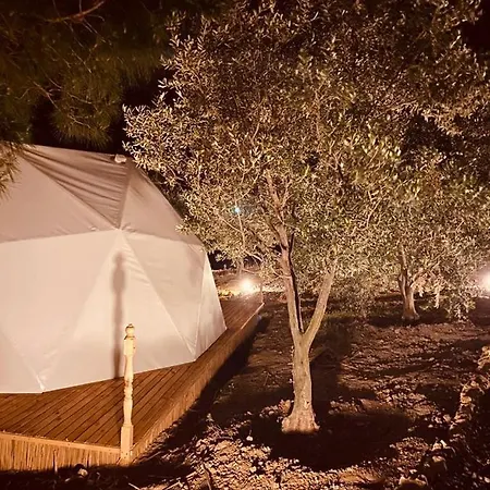 Dome Glamping Suits