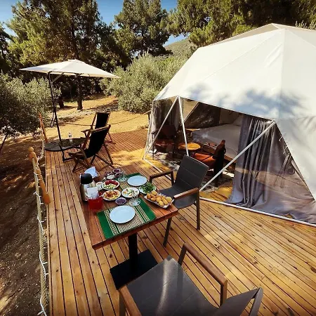 Dome Glamping Suits 포카