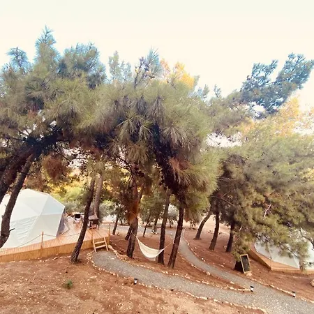 Dome Glamping Suits 롯지