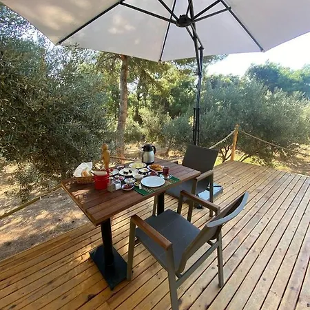 Dome Glamping Suits 포카