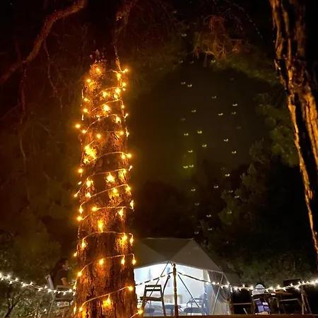 Dome Glamping Suits 롯지