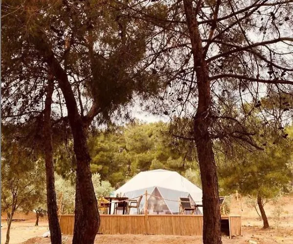 Lodge Dome Glamping Suits