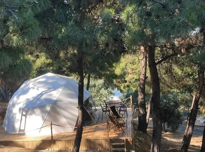 Dome Glamping Suits بيت خشبي *