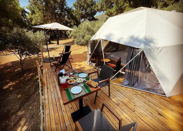 Dome Glamping Suits 포카