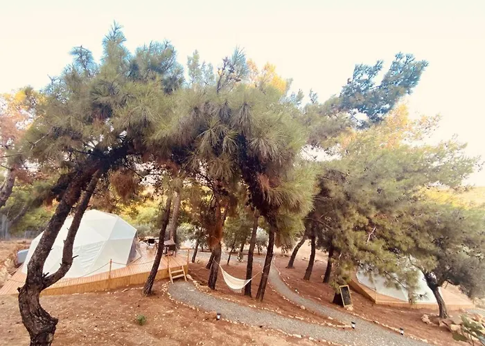 Dome Glamping Suits 롯지