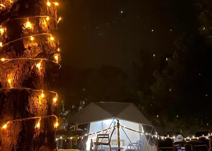 Dome Glamping Suits 포카