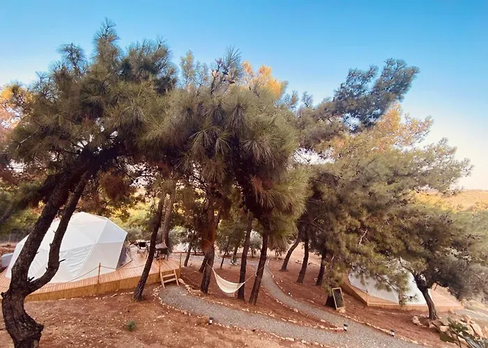 Lodge Dome Glamping Suits Foca