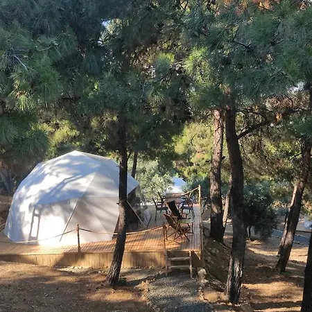 Dome Glamping Suits ロッジ *