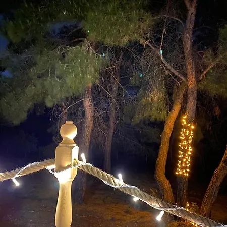 Dome Glamping Suits * フォチャ