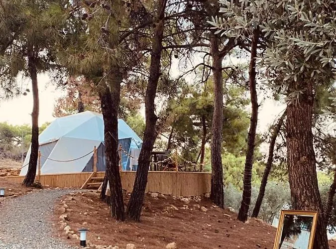 Dome Glamping Suits