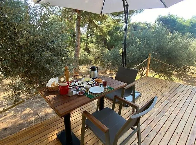 Dome Glamping Suits Foca