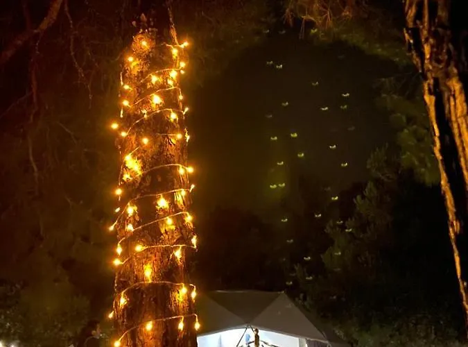 Dome Glamping Suits Lodge