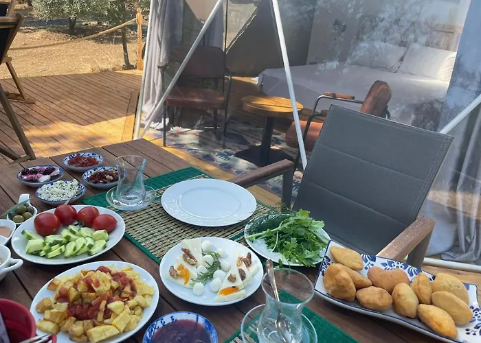 Dome Glamping Suits Lodge Foca